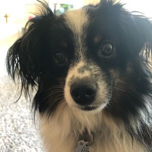 Meet your Posher, Sunjin